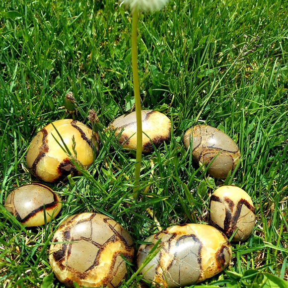 Septarian Nodules Plam Stones Dragon egg - Picture 3 of 11